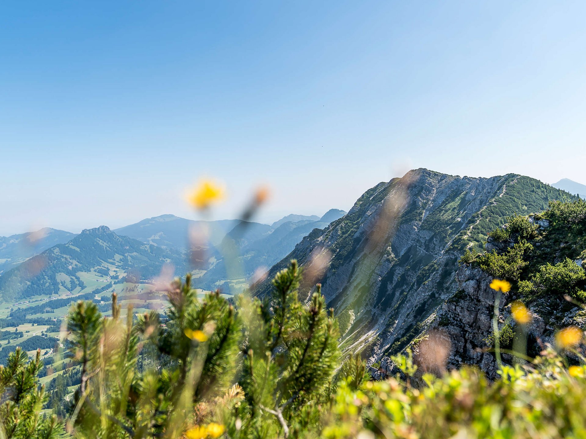 Alpin Chalets Oberjoch | Sommer: Chalet für den Allgäu-Urlaub Alpin Chalets Oberjoch | Sommer: Chalet für den Allgäu-Urlaub