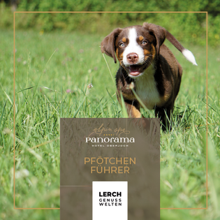 Alpin Chalet in Oberjoch: Prospekte Alpin Chalet in Oberjoch: Prospekte